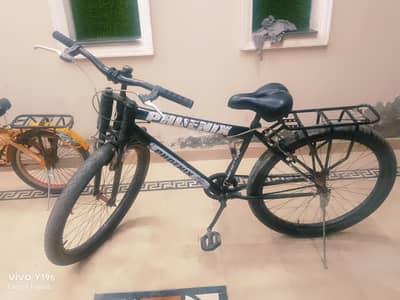 26"  Phoenix cycle.