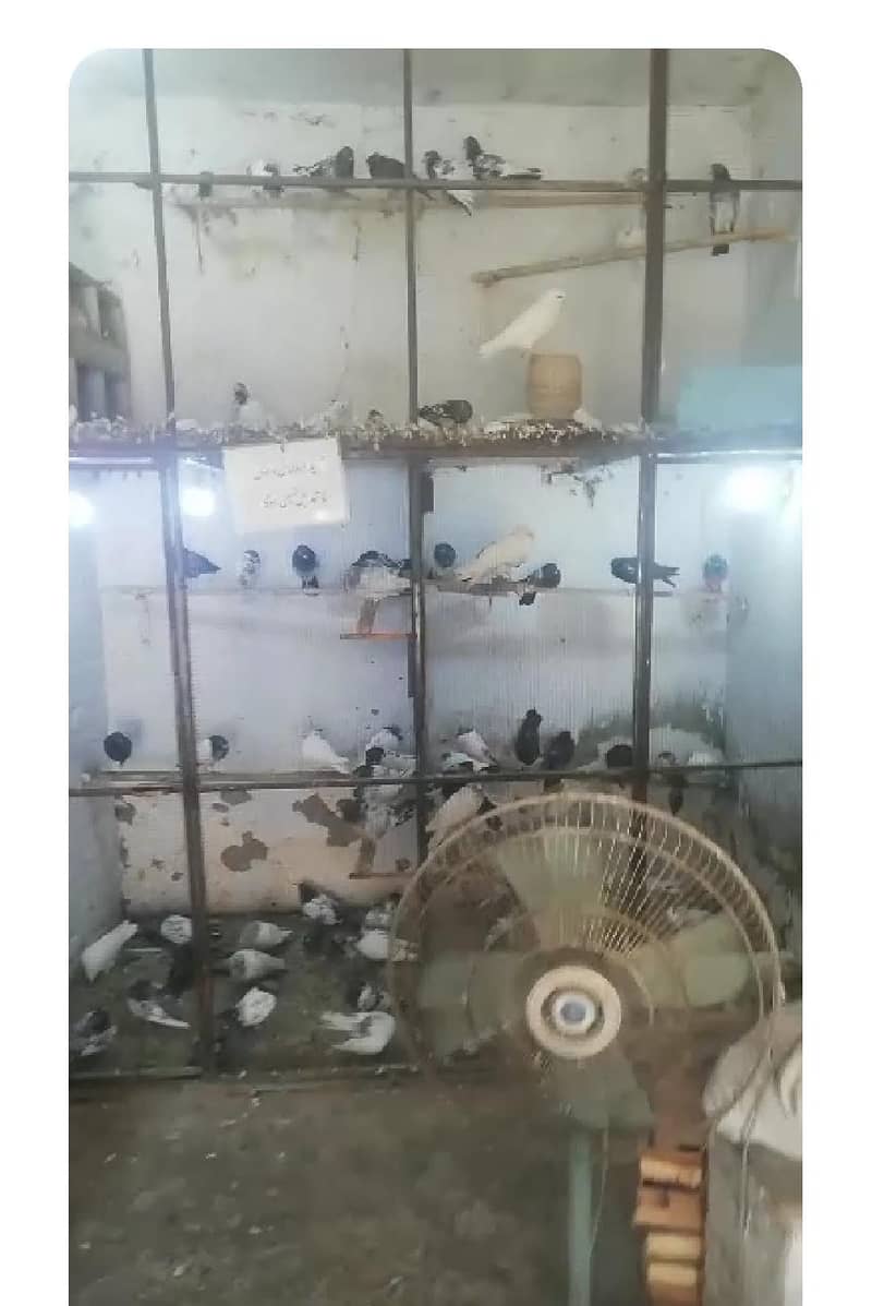 فار سیل لوکیشن راولپنڈی 1