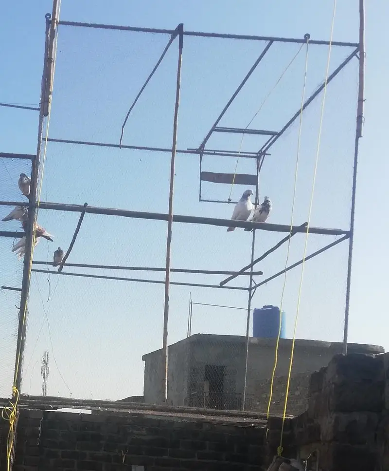 فار سیل لوکیشن راولپنڈی — photo 4