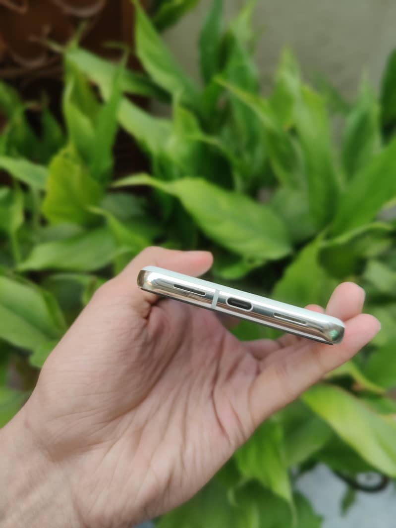 Google Pixel 8 Pro approved 1
