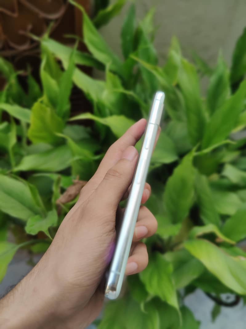 Google Pixel 8 Pro approved 2