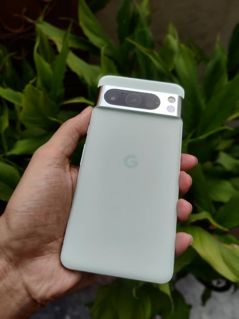 Google Pixel 8 Pro approved 5