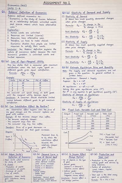 Bachelor spring season economic assignment