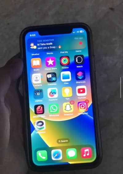 Apple iPhone X