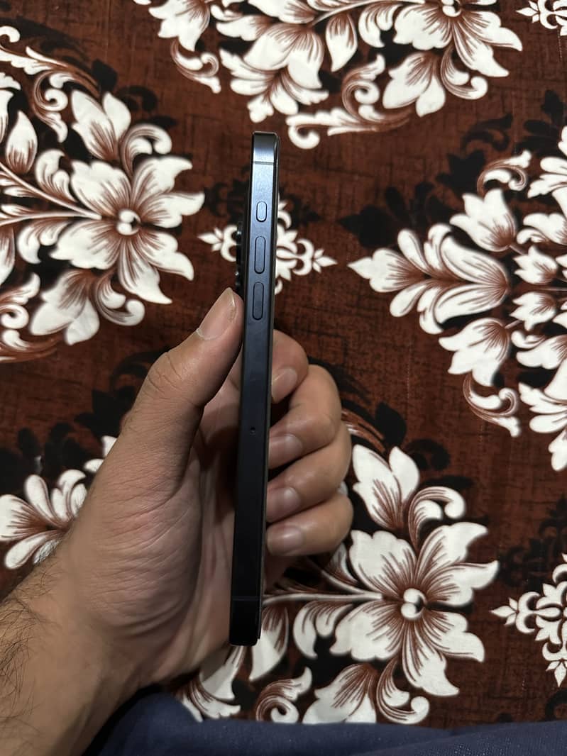 Apple iPhone 15 pro max 1