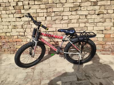 Phoenix Bicycle 26-Inch Mountain Bike with front suspension, Grip tyre