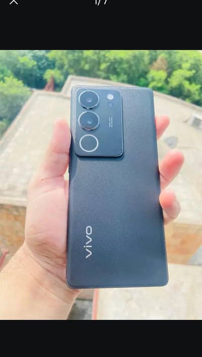vivo v29 12+8/256