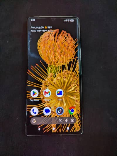 Google Pixel 6 Pro