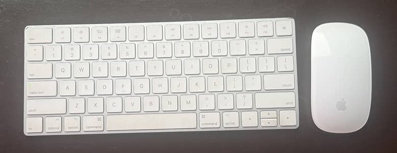 Apple Magic Mouse 2 + Magic Keyboard 2