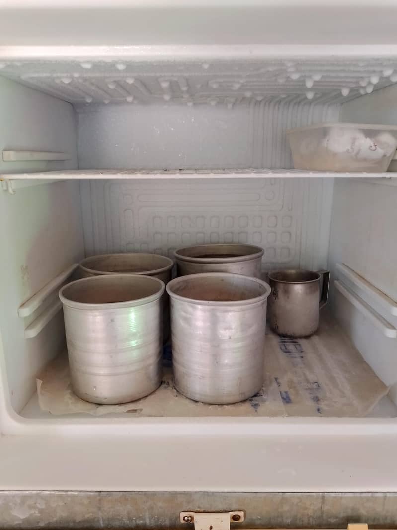 Fridge 3