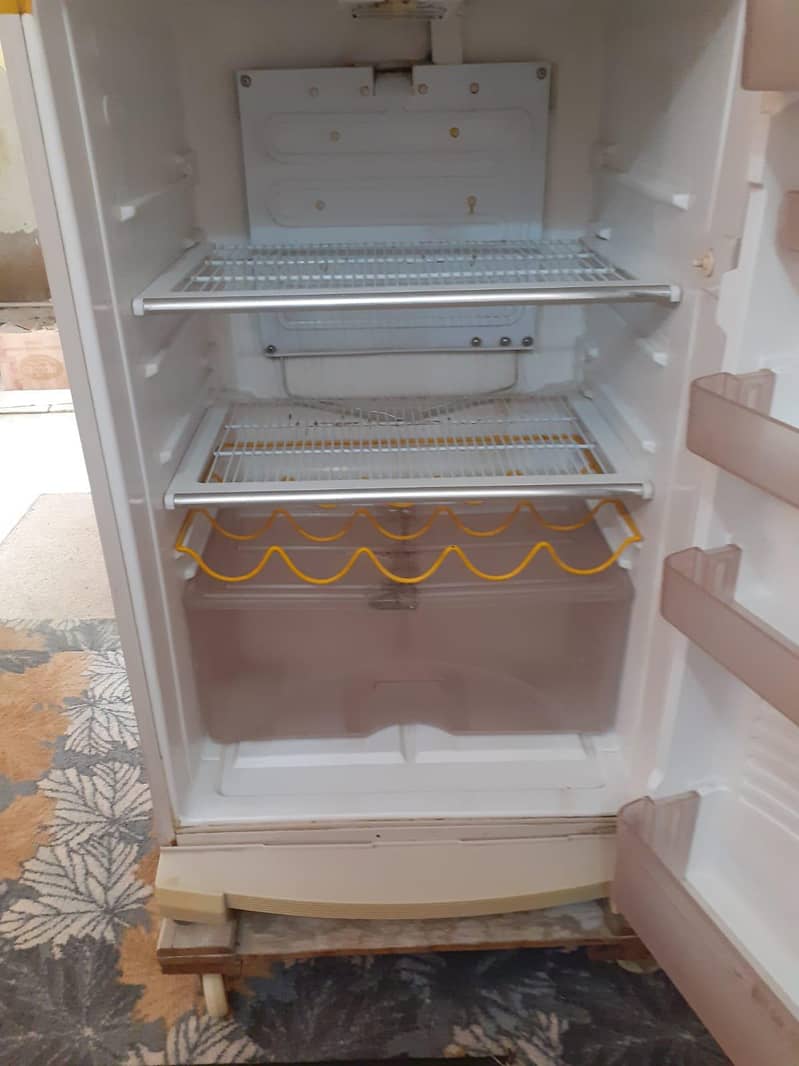 fridge normal size 2