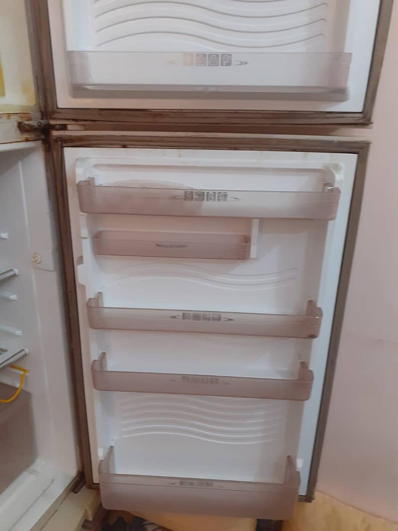 fridge normal size 4