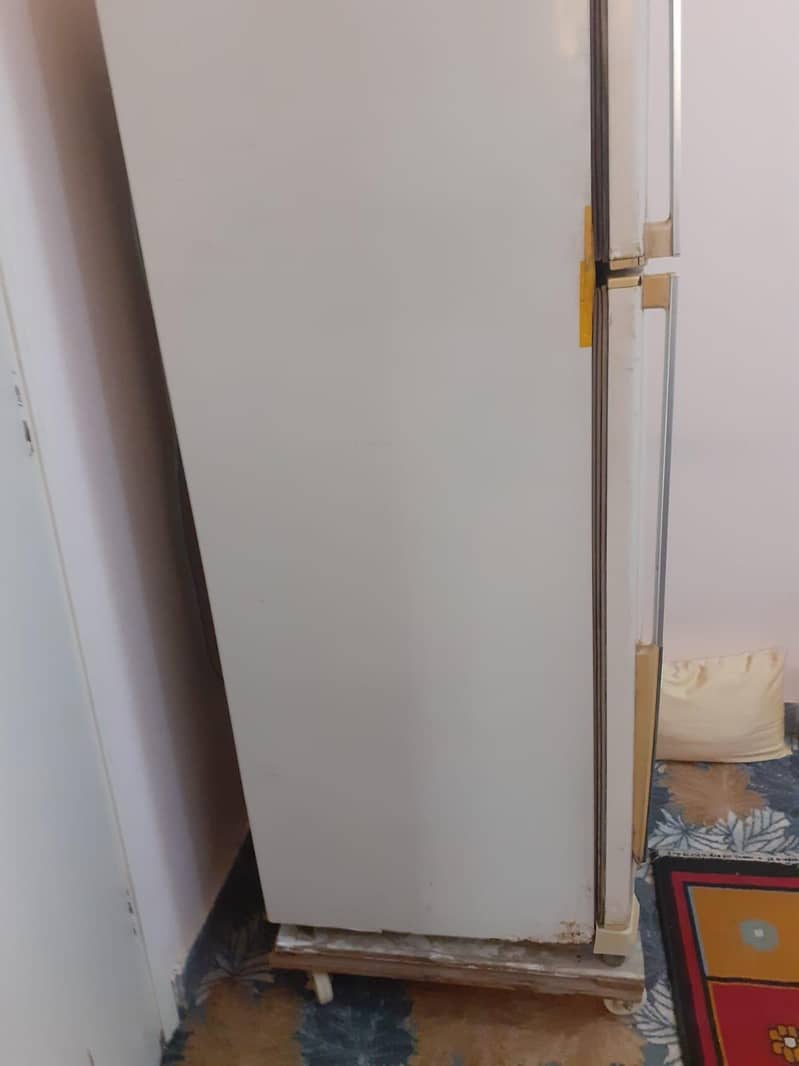 fridge normal size 5