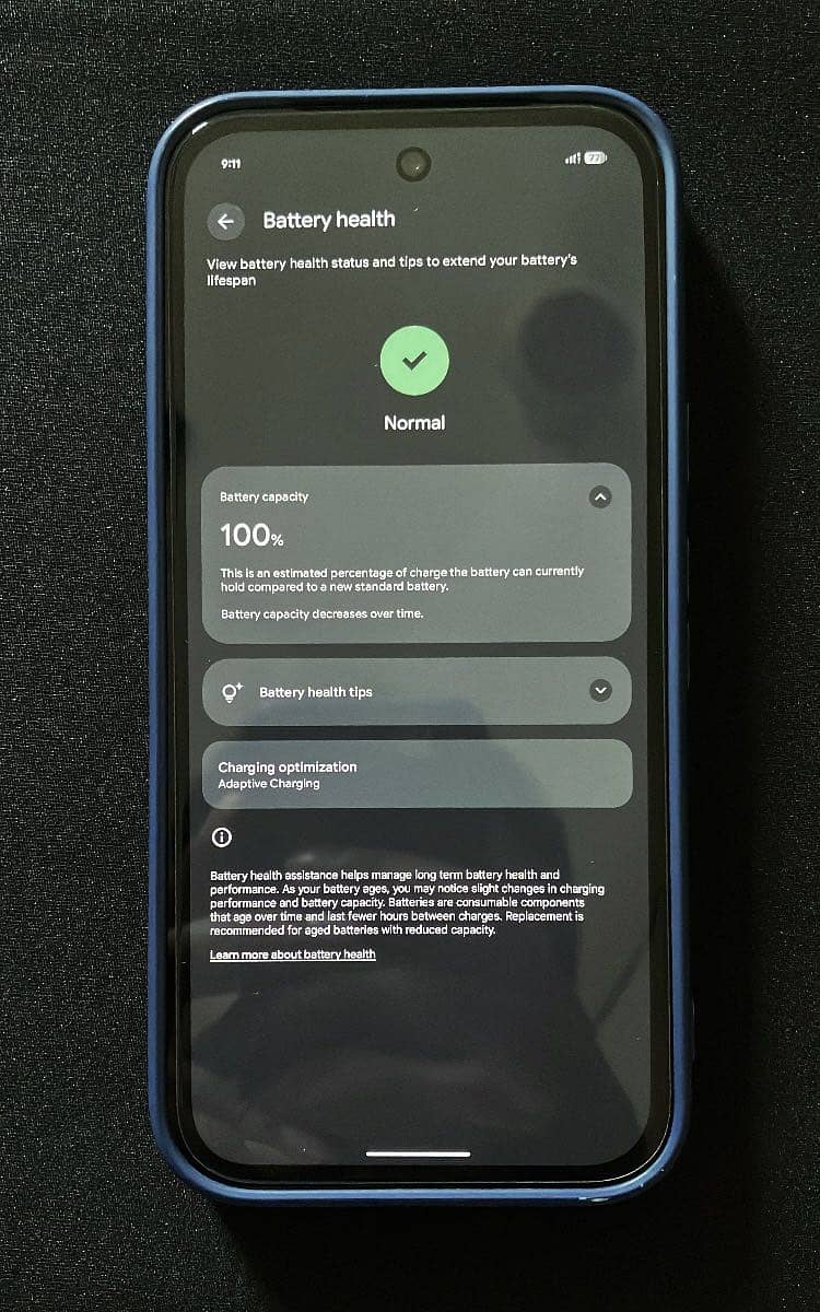 Google Pixel 9a 13