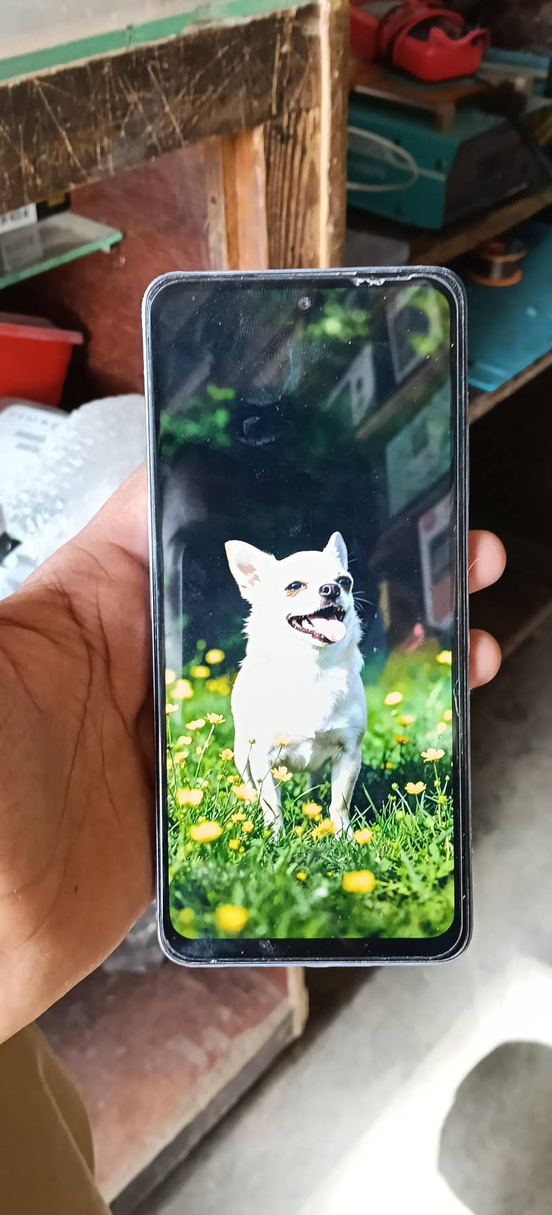 OPPO Other Model 1