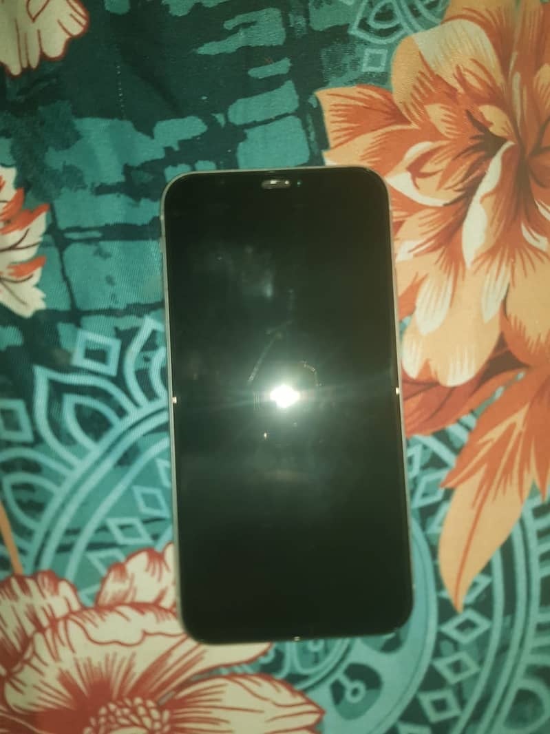 Apple iPhone XR 1