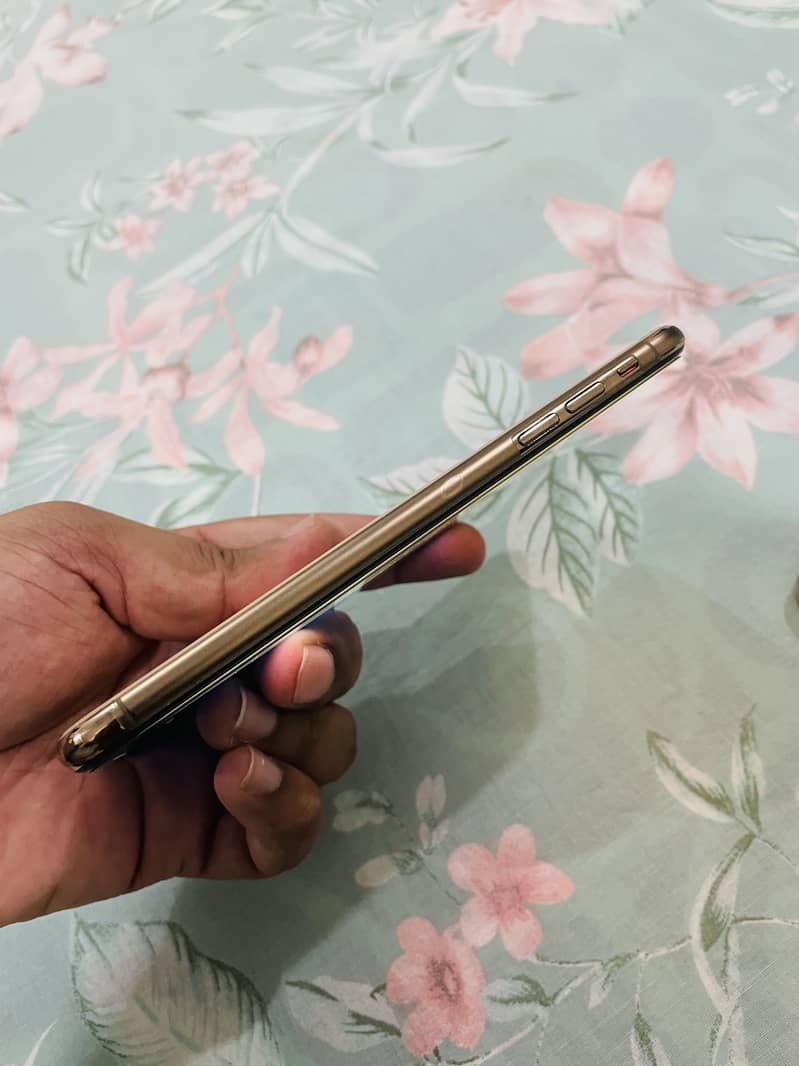 Apple iPhone XS Max 1