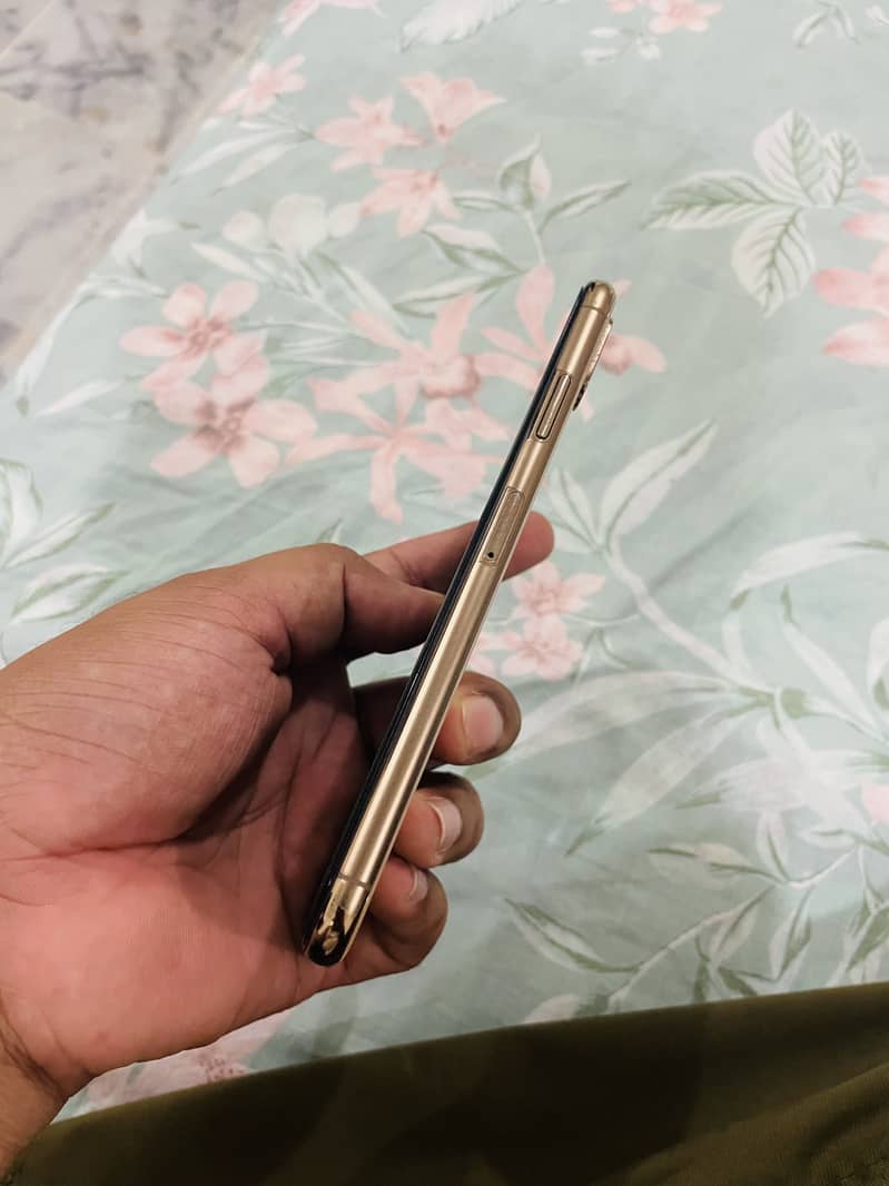Apple iPhone XS Max 4