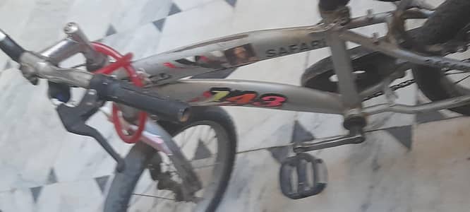 safari bicycle