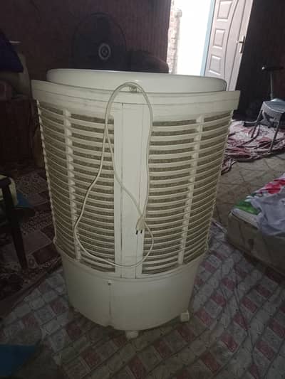 cooler urgent for sale