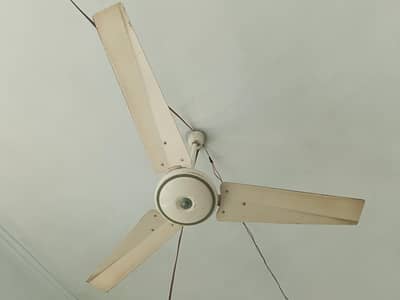 Younas fan