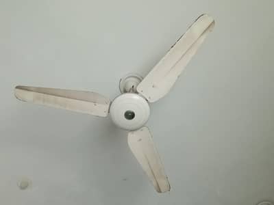 Tamoor Ac fan