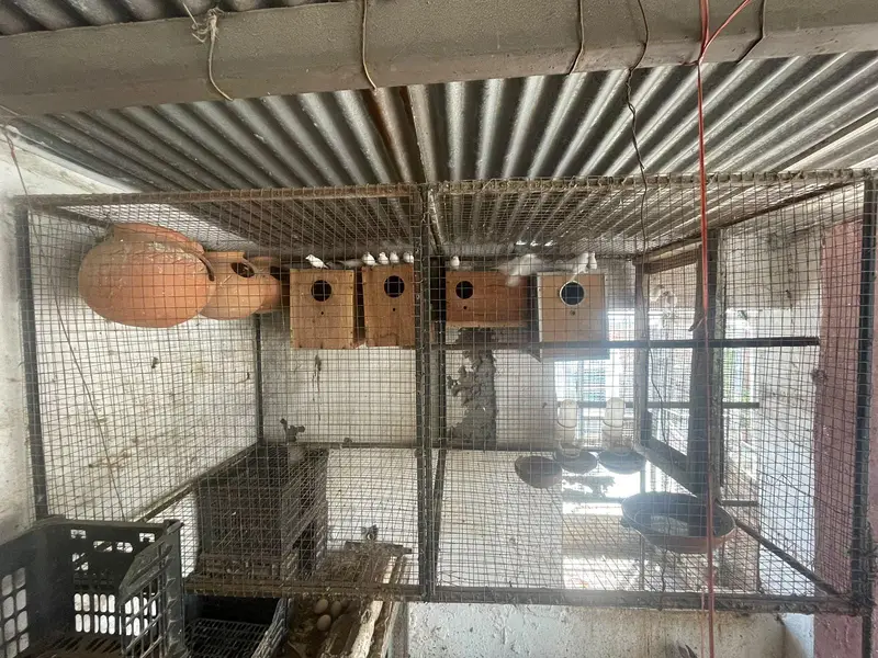 white java breader setup — photo 3