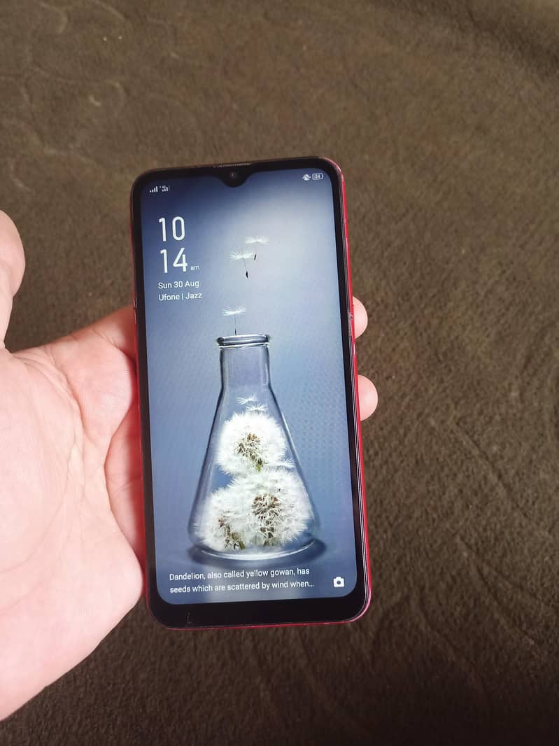 OPPO A1k 1