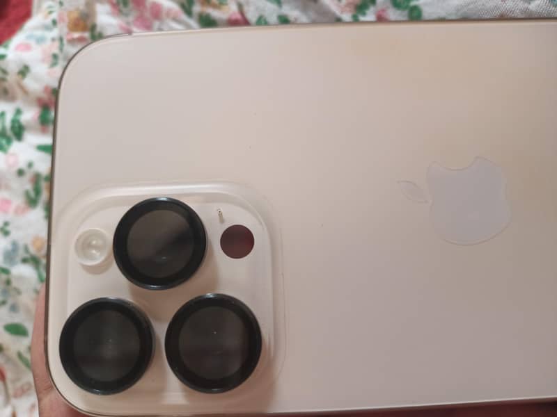 Apple iPhone 16 Pro Max 0