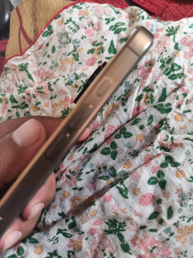 Apple iPhone 16 Pro Max 1