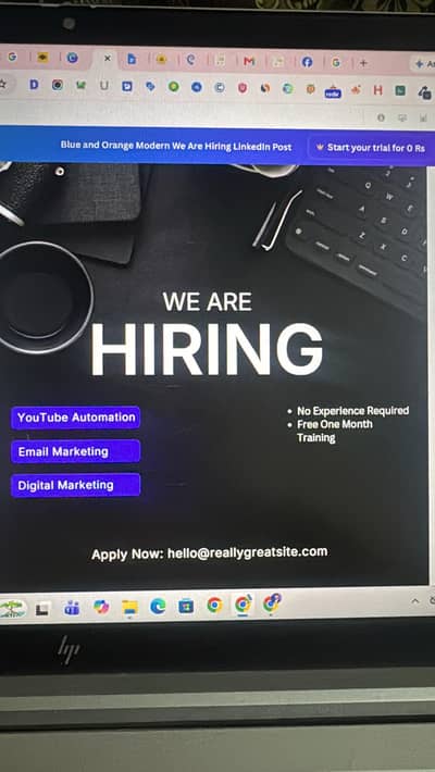 Sales Executive