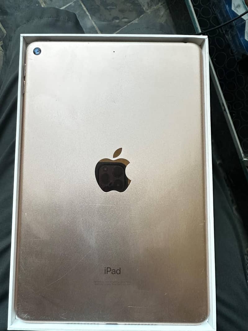 ipad mini 5 1
