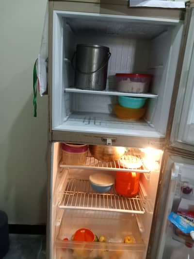 pel freezer