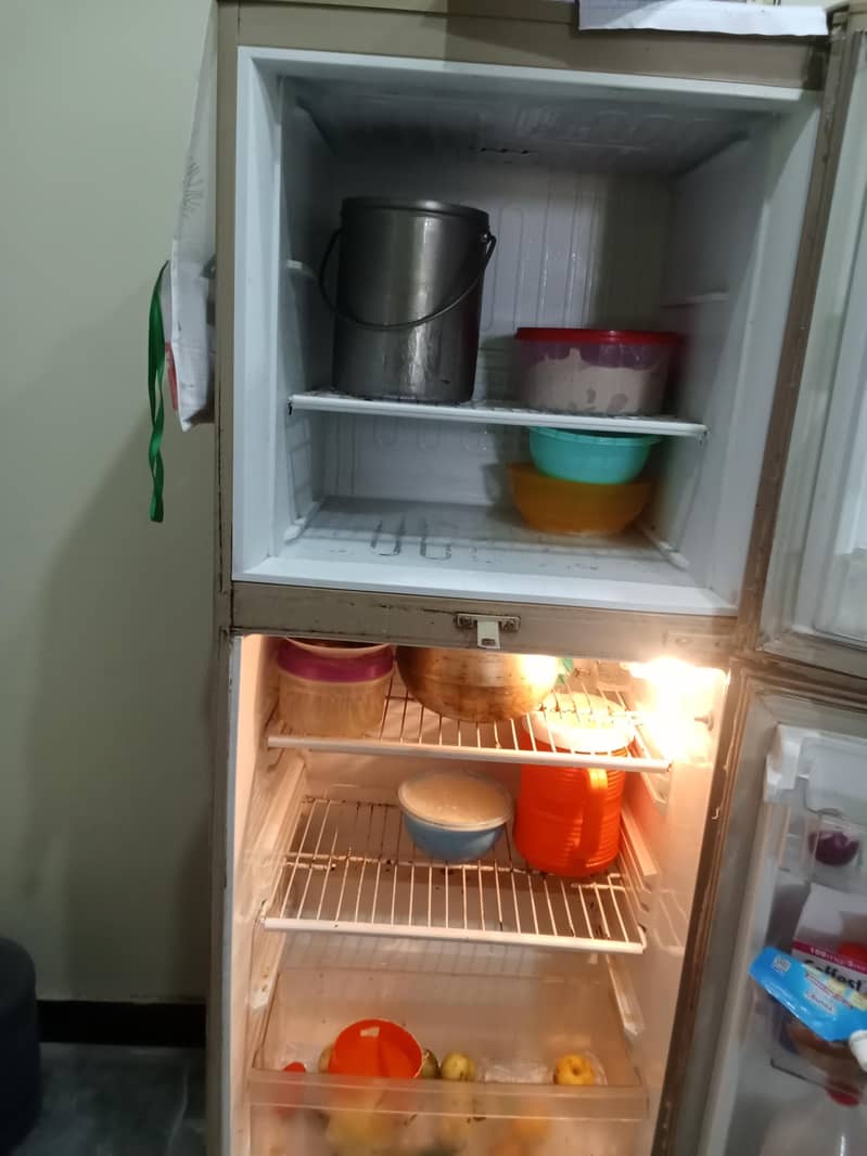 pel freezer 0