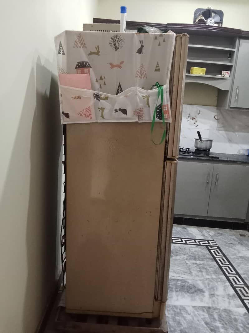 pel freezer 3