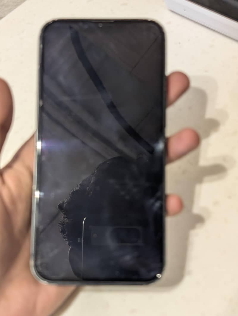 Apple iPhone 13 1