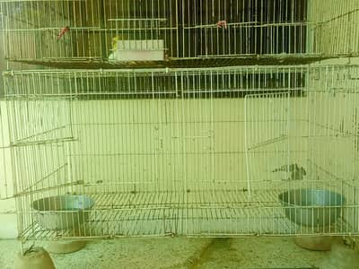 cocktail cage with partition, feeding pots and tray