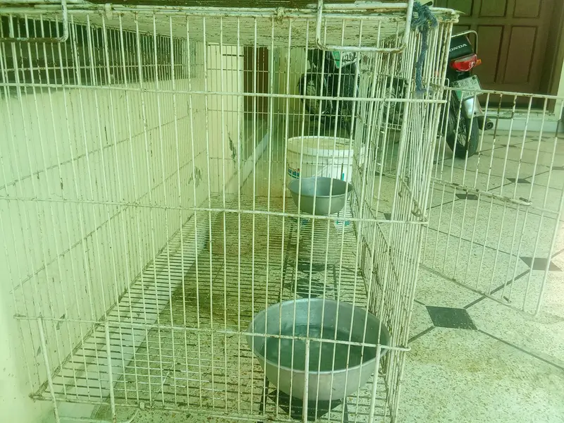cocktail cage with partition, feeding pots and tray — photo 2