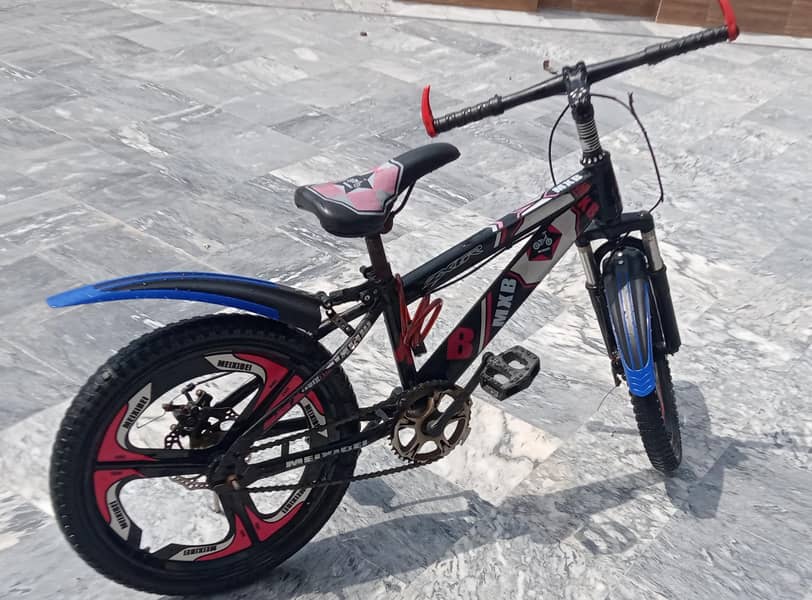Bicycle 1