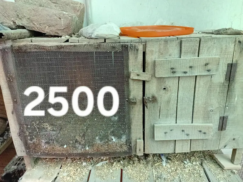 cages for sale — photo 3