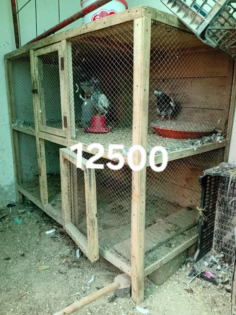 cages for sale — photo 4
