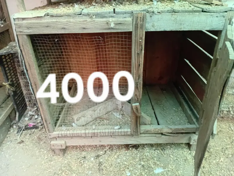 cages for sale — photo 5