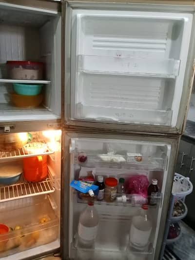 pel refrigerator