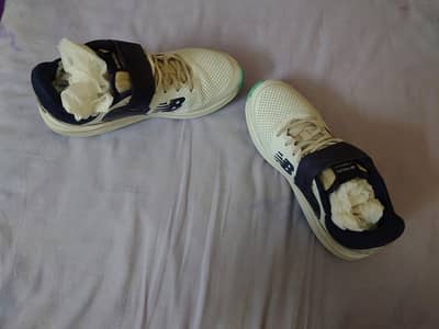 cricket spkies nb