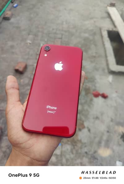iPhone XR factory unlock 128 GB 10/9