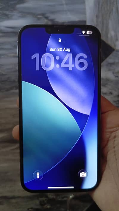 Apple iPhone 13 Pro Max