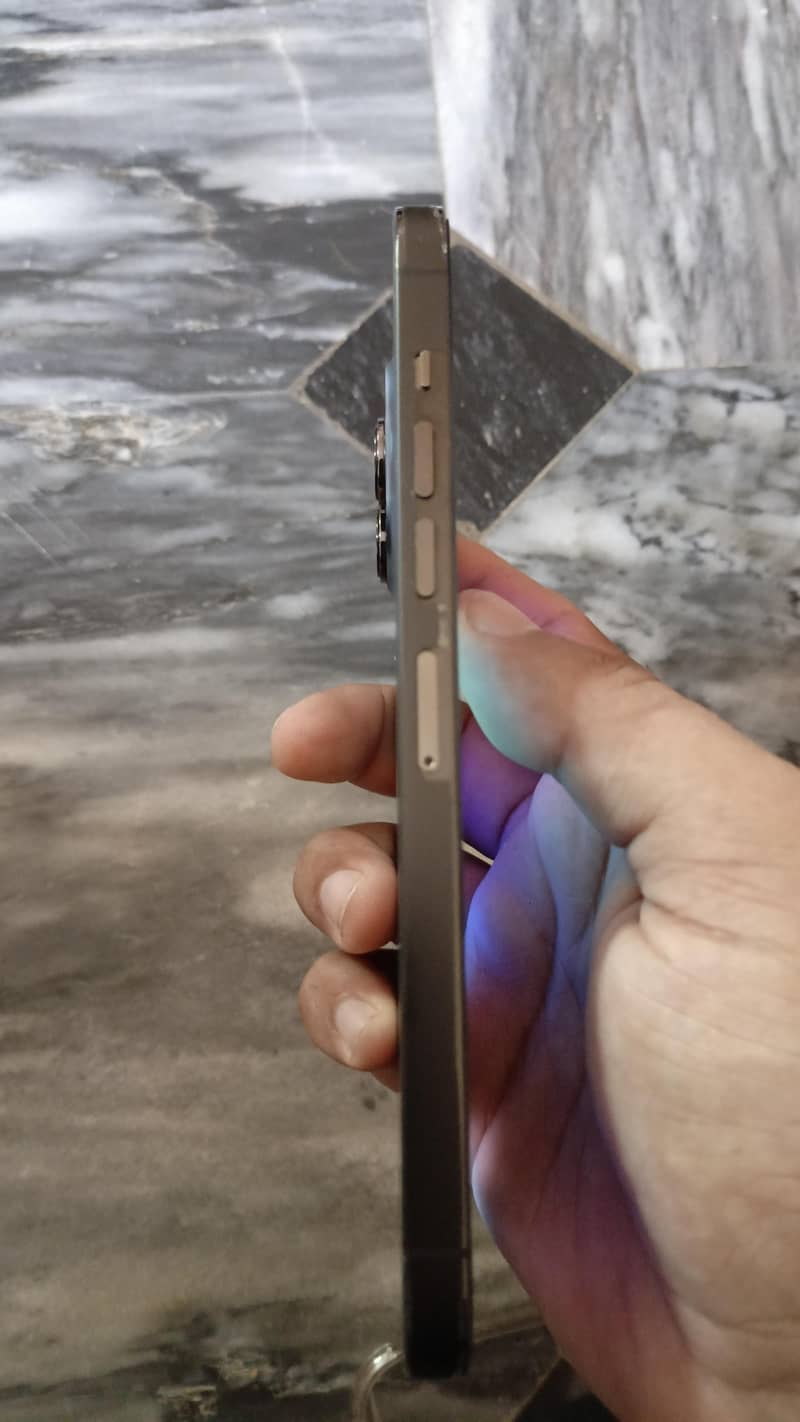 Apple iPhone 13 Pro Max 2