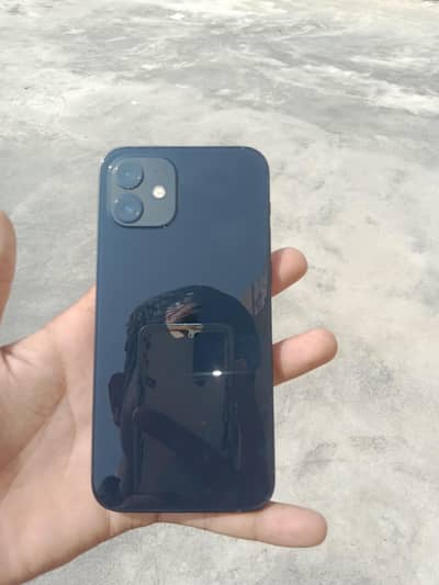 Apple iPhone 12
