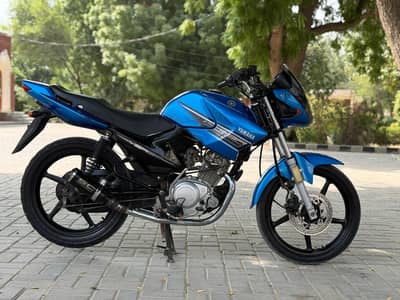 YAMAHA YBR ESD 03313939676