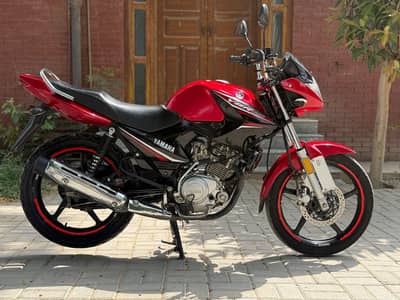 YAMAHA YBR ESD 03313939676